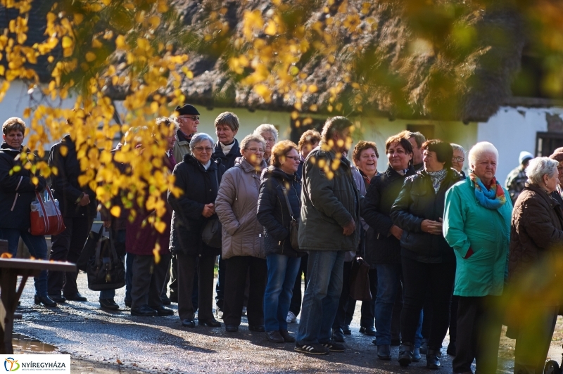 Márton Napi Vigasság 2017  I - fotó Szarka Lajos