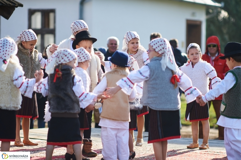 Márton Napi Vigasság 2017  I - fotó Szarka Lajos