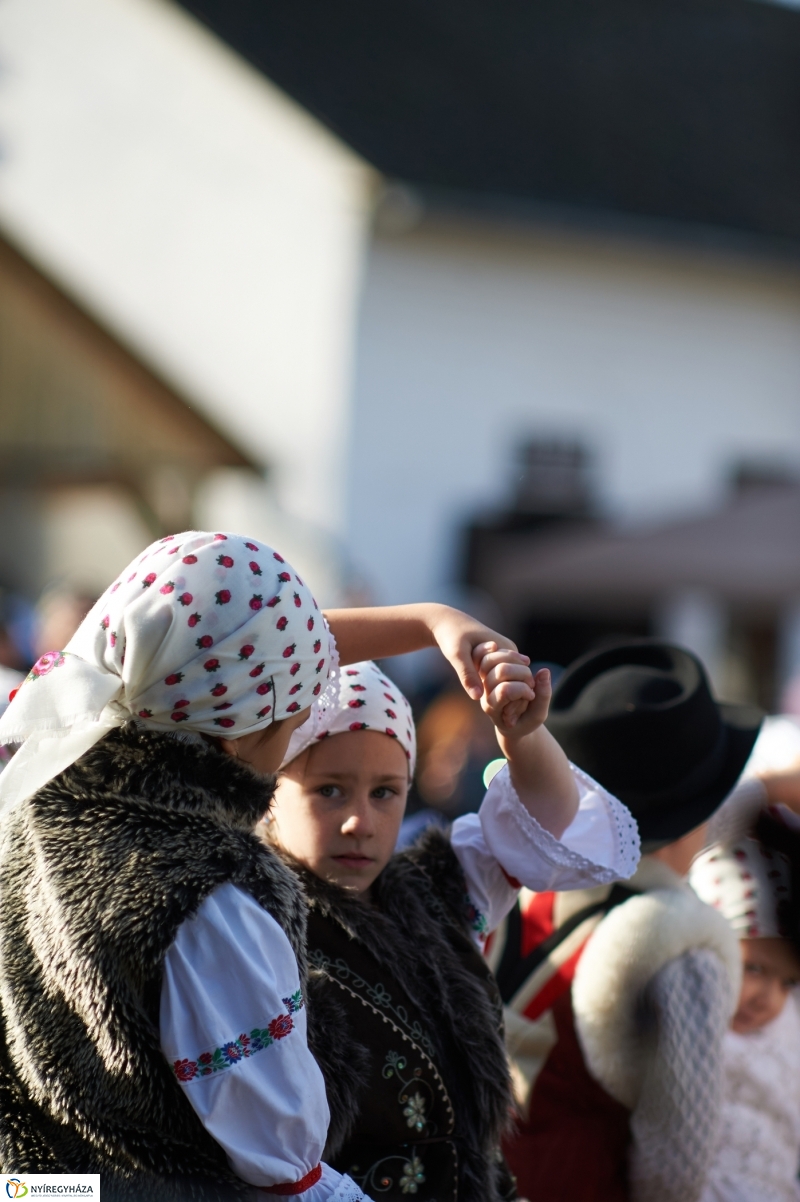 Márton Napi Vigasság 2017  I - fotó Szarka Lajos