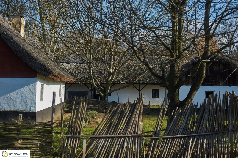 Márton Napi Vigasság 2017  II - fotó Szarka Lajos