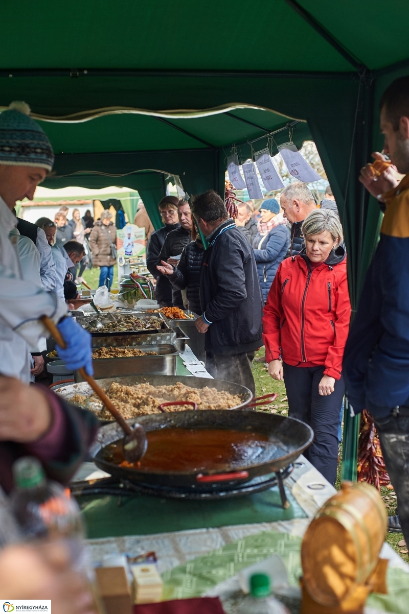 Márton Napi Vigasság 2017  II - fotó Szarka Lajos