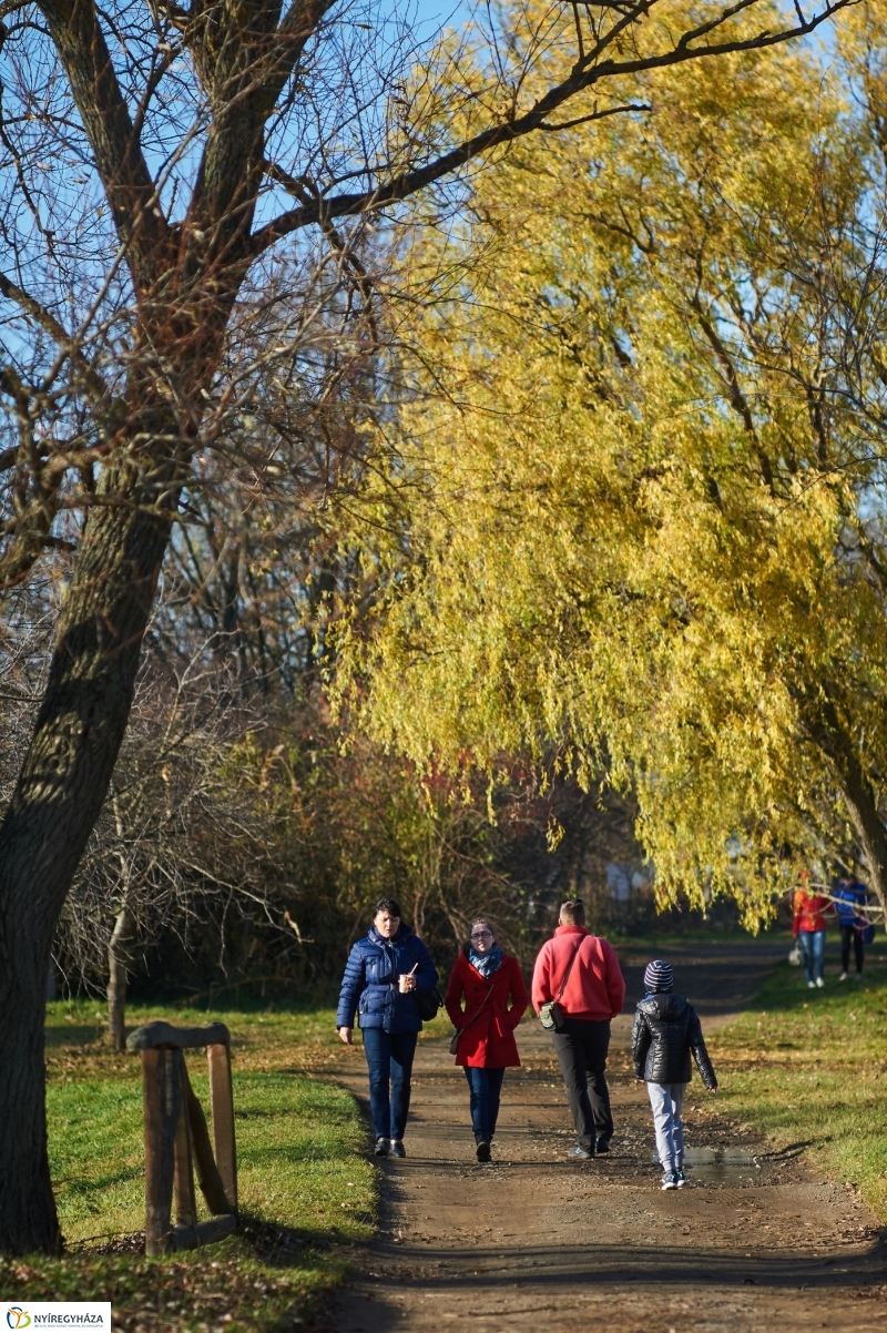 Márton Napi Vigasság 2017  II - fotó Szarka Lajos