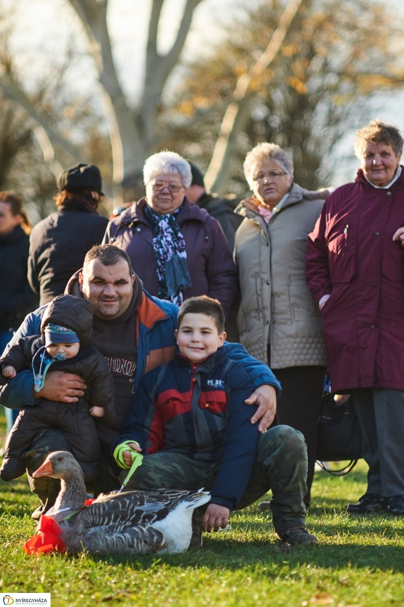 Márton Napi Vigasság 2017  II - fotó Szarka Lajos