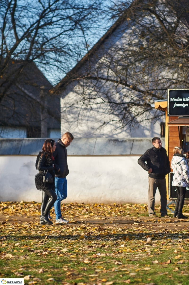 Márton Napi Vigasság 2017  II - fotó Szarka Lajos