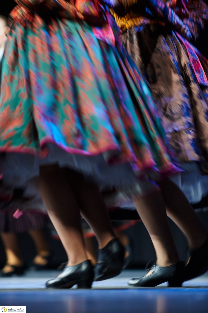 Ifjúsági néptáncfesztivál - fotó Szarka Lajos