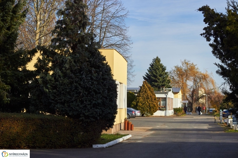 Jubilál a Nyírségvíz - fotó Szarka Lajos