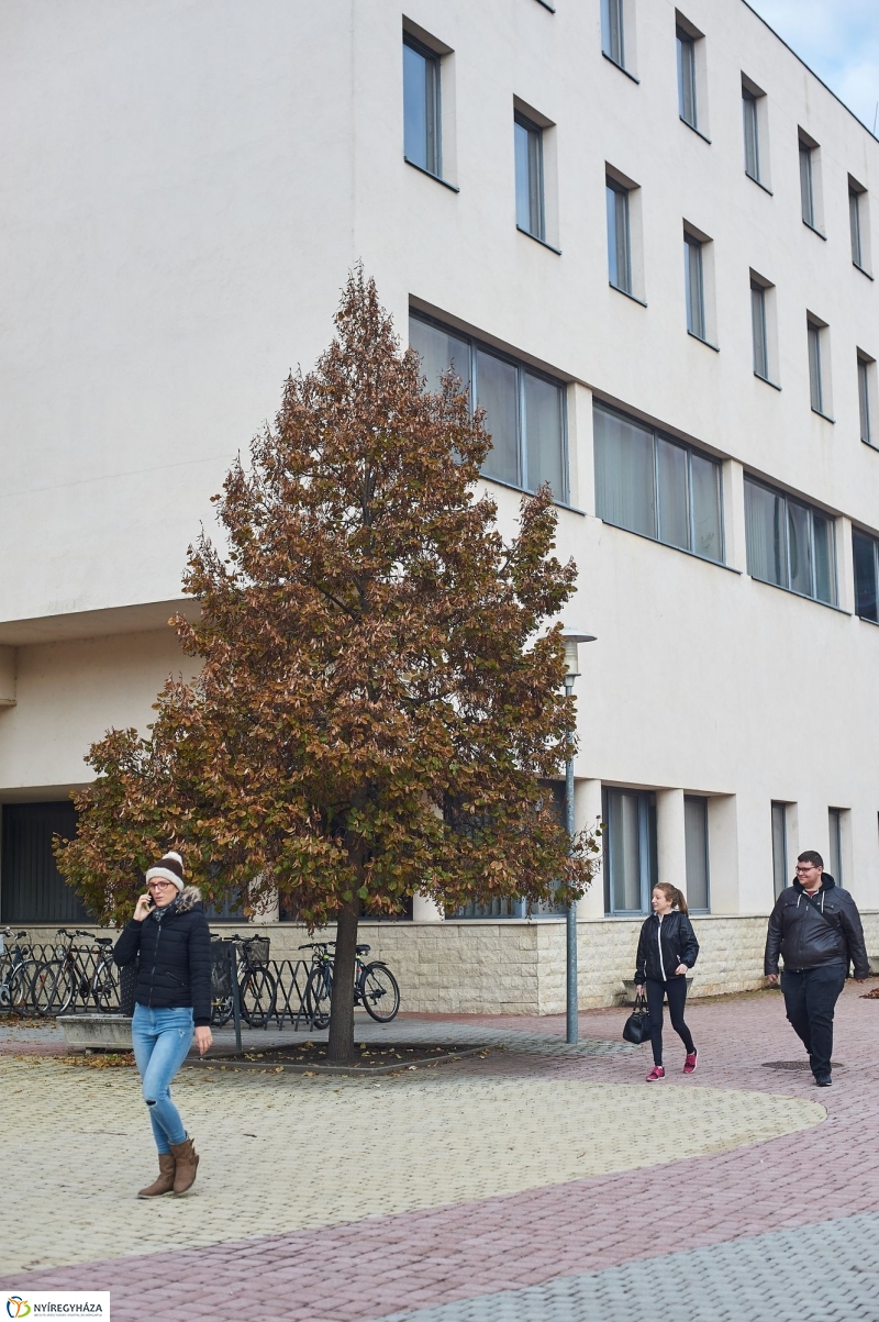 Egyetemi ösztöndíjasok - fotó Szarka Lajos