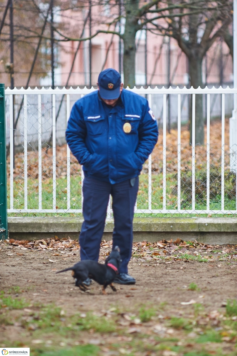 Kutyafuttató a Homok soron - fotó Szarka Lajos