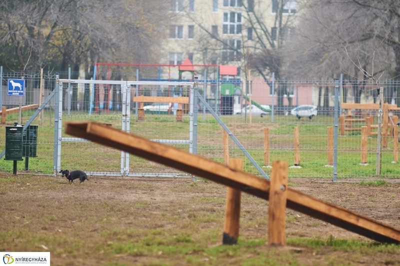 Kutyafuttató a Homok soron - fotó Szarka Lajos