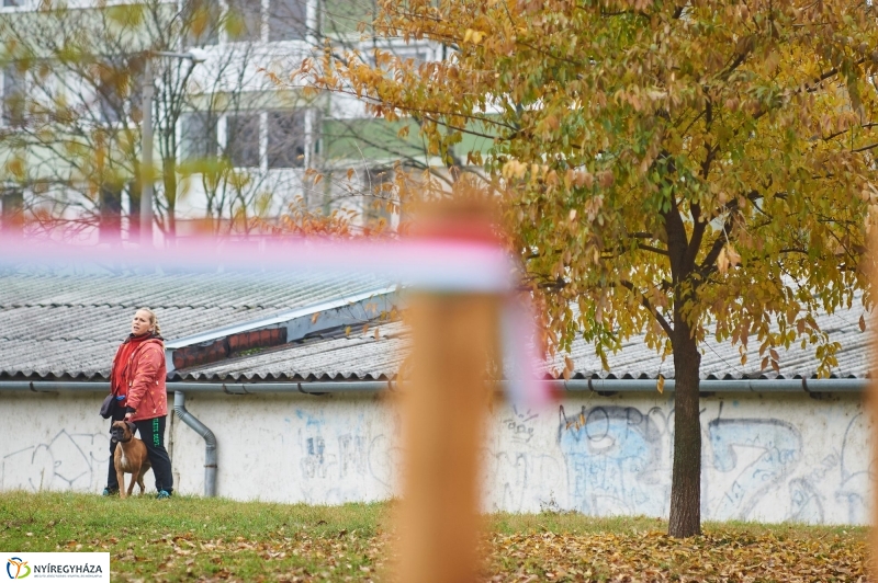 Kutyafuttató a Homok soron - fotó Szarka Lajos