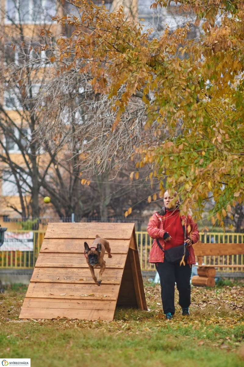 Kutyafuttató a Homok soron - fotó Szarka Lajos