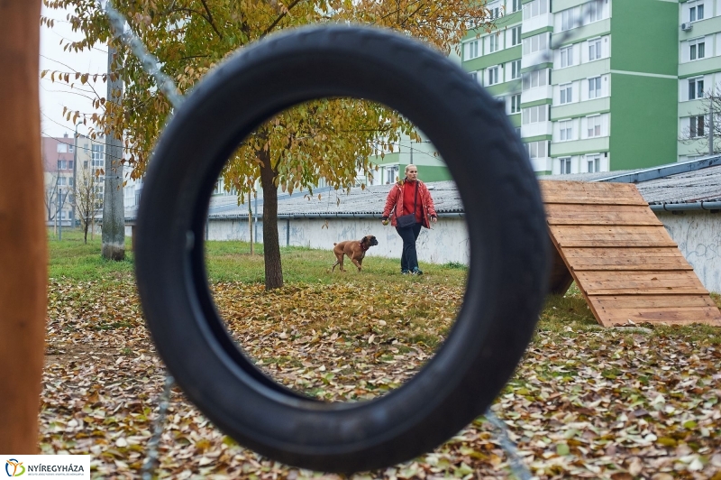 Kutyafuttató a Homok soron - fotó Szarka Lajos
