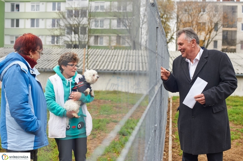 Kutyafuttató a Homok soron - fotó Szarka Lajos