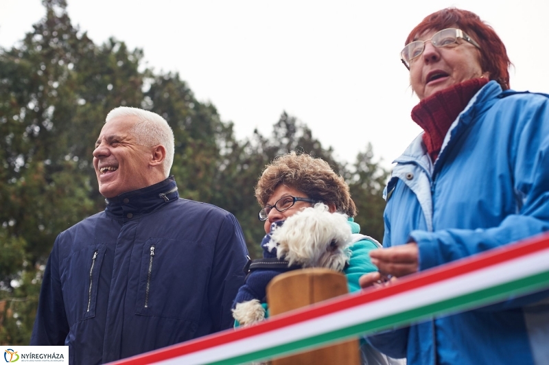 Kutyafuttató a Homok soron - fotó Szarka Lajos