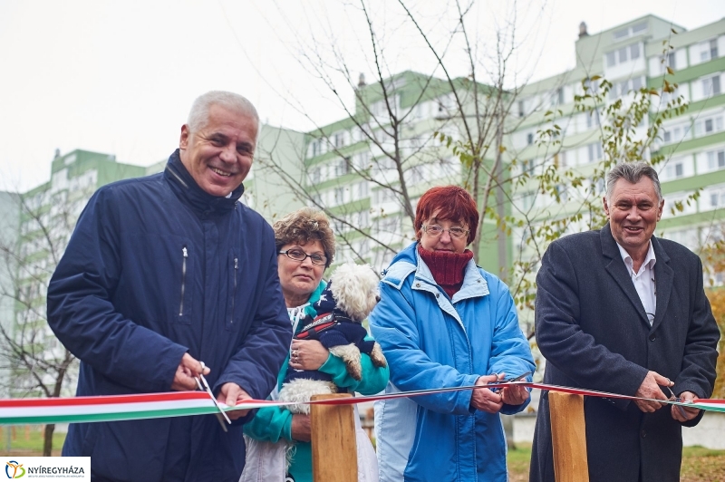 Kutyafuttató a Homok soron - fotó Szarka Lajos