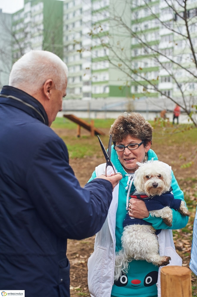 Kutyafuttató a Homok soron - fotó Szarka Lajos
