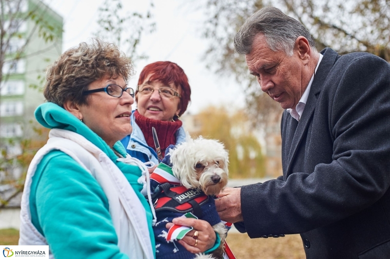 Kutyafuttató a Homok soron - fotó Szarka Lajos