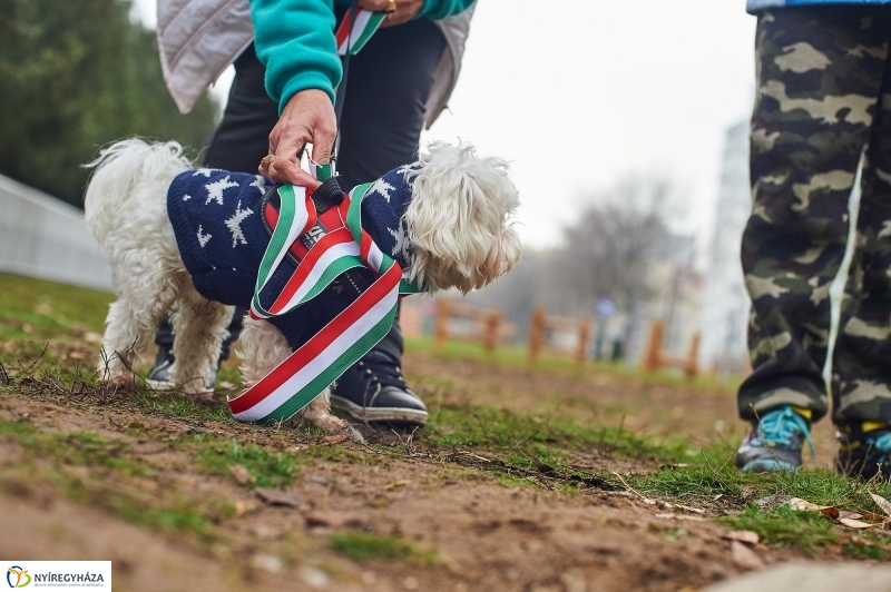 Kutyafuttató a Homok soron - fotó Szarka Lajos