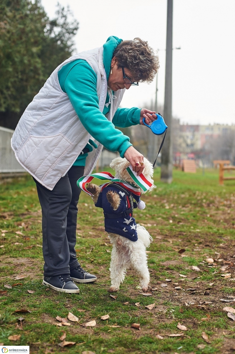 Kutyafuttató a Homok soron - fotó Szarka Lajos