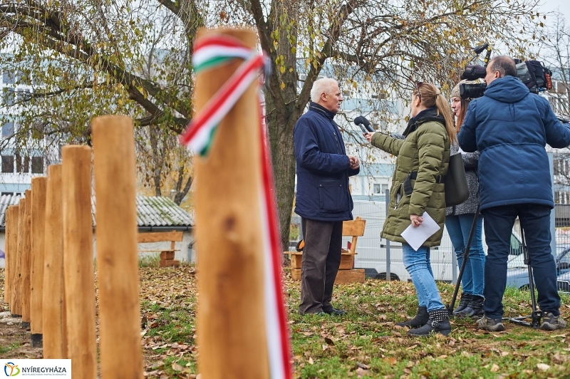 Kutyafuttató a Homok soron - fotó Szarka Lajos