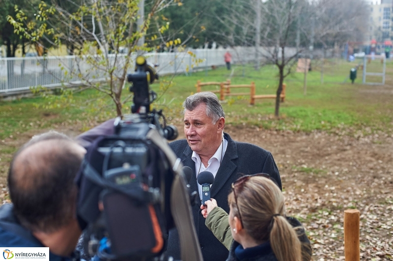 Kutyafuttató a Homok soron - fotó Szarka Lajos