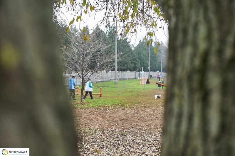 Kutyafuttató a Homok soron - fotó Szarka Lajos