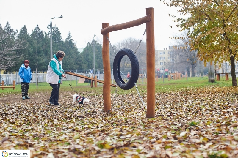 Kutyafuttató a Homok soron - fotó Szarka Lajos