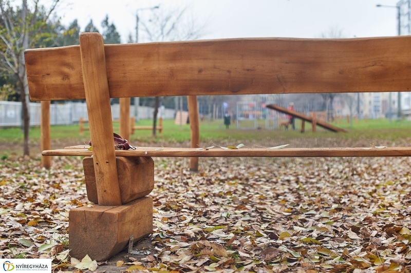 Kutyafuttató a Homok soron - fotó Szarka Lajos