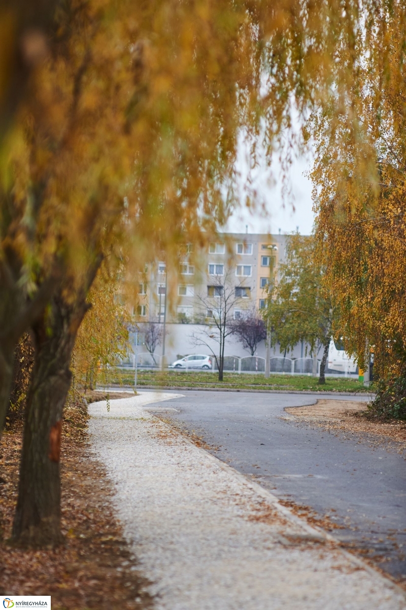 Thököly utca aszfaltozása - fotó Szarka Lajos