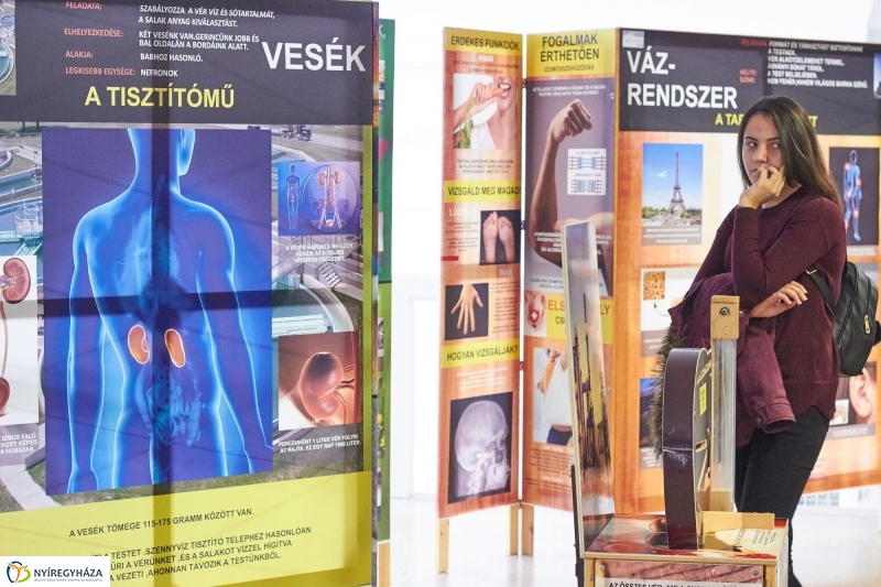 Testünk a csoda kiállítás - fotó Szarka Lajos