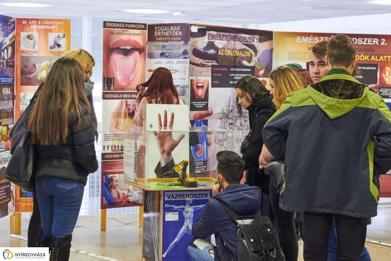 Testünk a csoda kiállítás - fotó Szarka Lajos