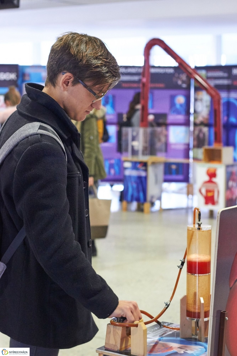 Testünk a csoda kiállítás - fotó Szarka Lajos