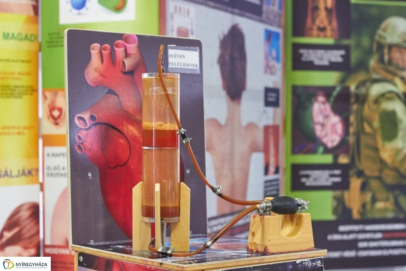 Testünk a csoda kiállítás - fotó Szarka Lajos