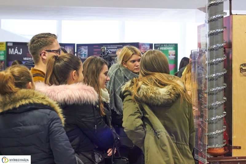 Testünk a csoda kiállítás - fotó Szarka Lajos