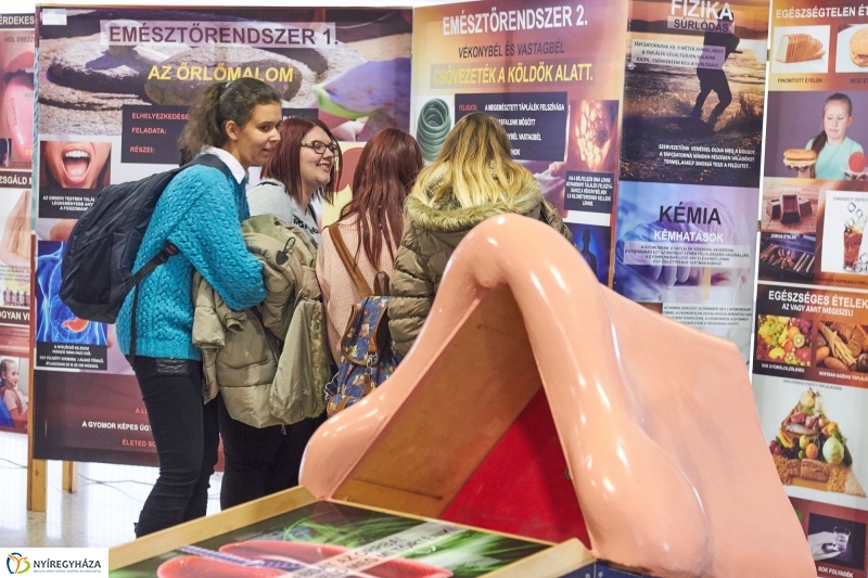 Testünk a csoda kiállítás - fotó Szarka Lajos