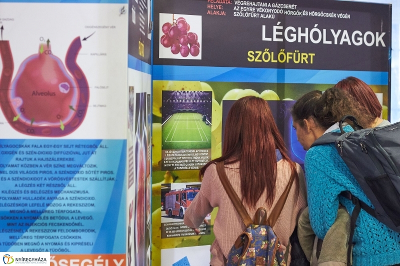 Testünk a csoda kiállítás - fotó Szarka Lajos