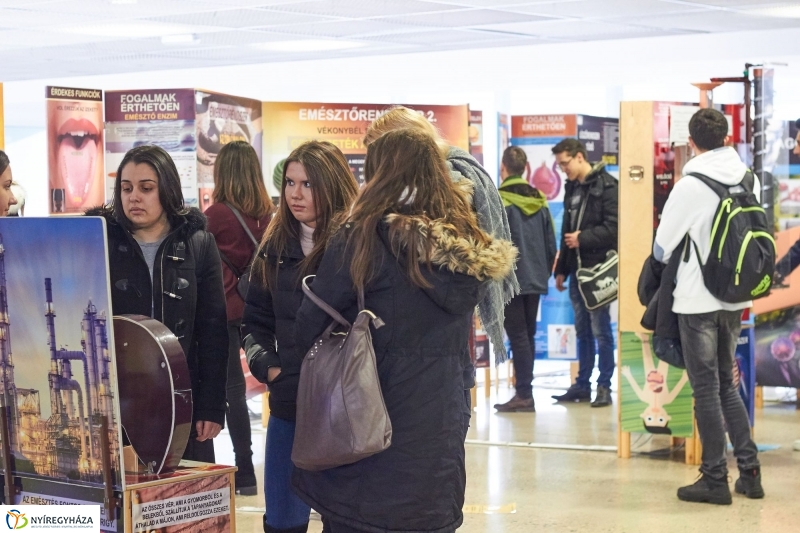 Testünk a csoda kiállítás - fotó Szarka Lajos