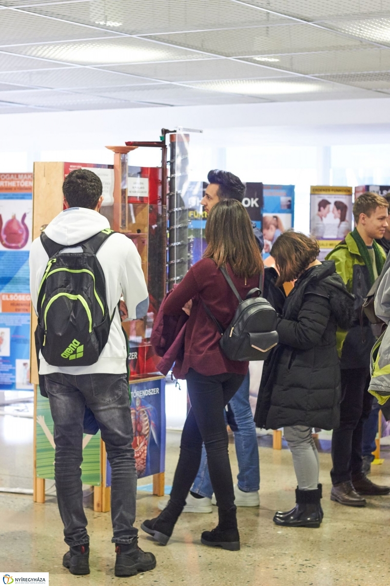 Testünk a csoda kiállítás - fotó Szarka Lajos