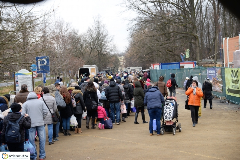 100 forintos nap az Állatparkban - fotó Trifonov Éva