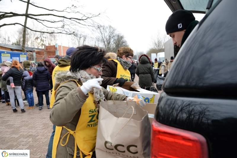 100 forintos nap az Állatparkban - fotó Trifonov Éva