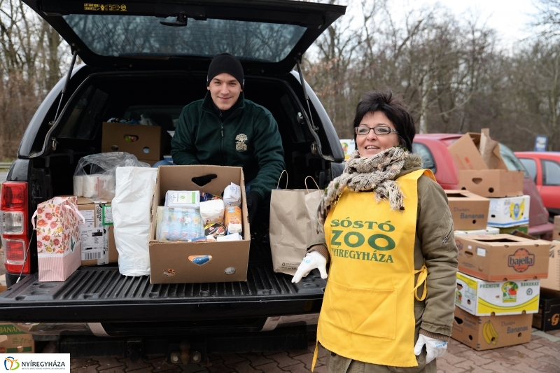 100 forintos nap az Állatparkban - fotó Trifonov Éva