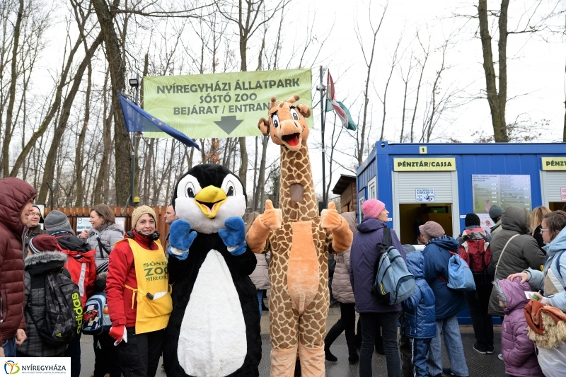 100 forintos nap az Állatparkban - fotó Trifonov Éva