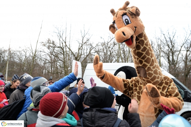 100 forintos nap az Állatparkban - fotó Trifonov Éva