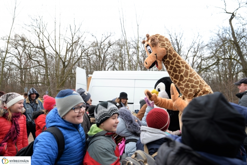 100 forintos nap az Állatparkban - fotó Trifonov Éva