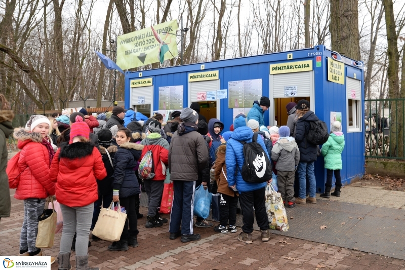 100 forintos nap az Állatparkban - fotó Trifonov Éva