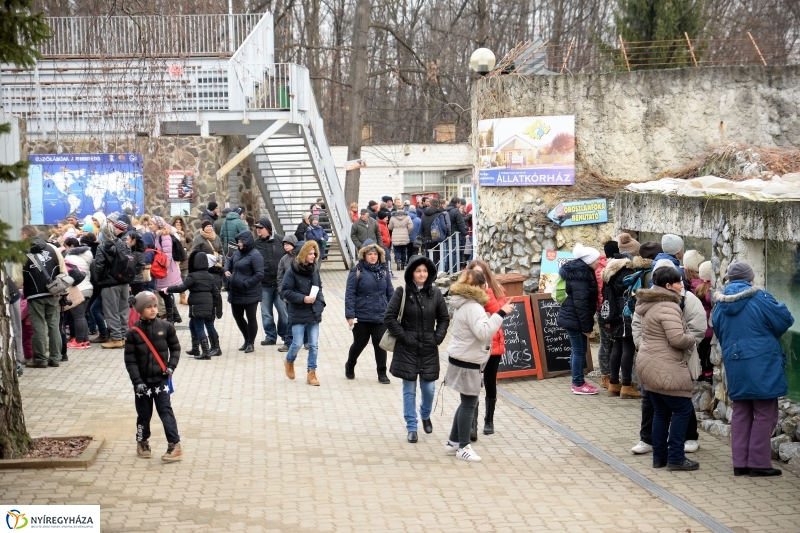 100 forintos nap az Állatparkban - fotó Trifonov Éva