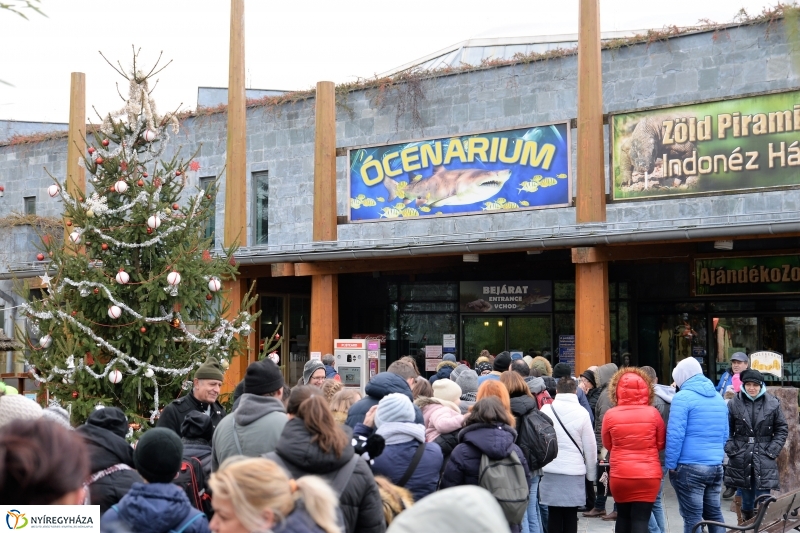 100 forintos nap az Állatparkban - fotó Trifonov Éva