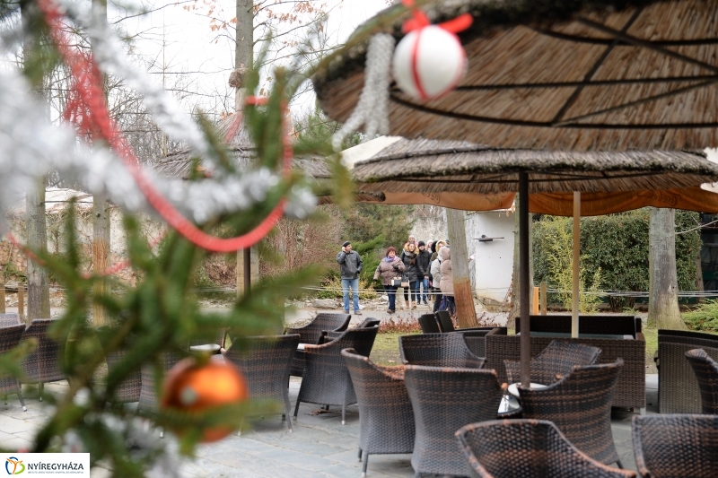 100 forintos nap az Állatparkban - fotó Trifonov Éva