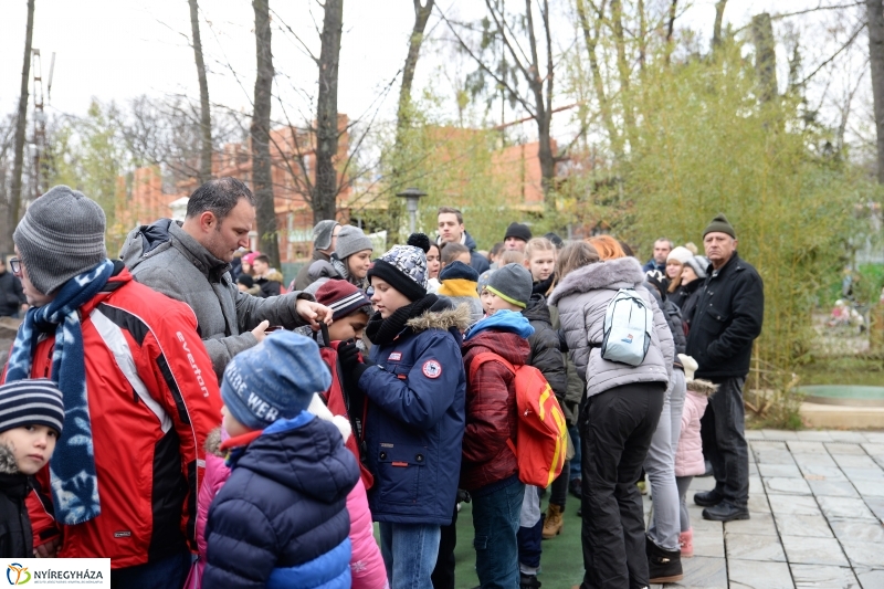 100 forintos nap az Állatparkban - fotó Trifonov Éva