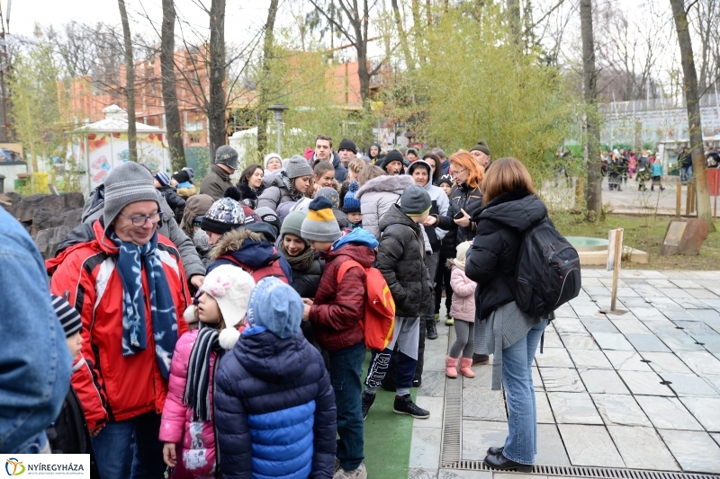 100 forintos nap az Állatparkban - fotó Trifonov Éva